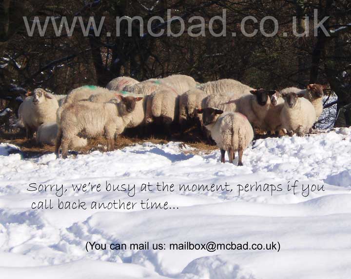 Image of sheep.
  You can e-mail McBad on mailbox@mcbad.co.uk